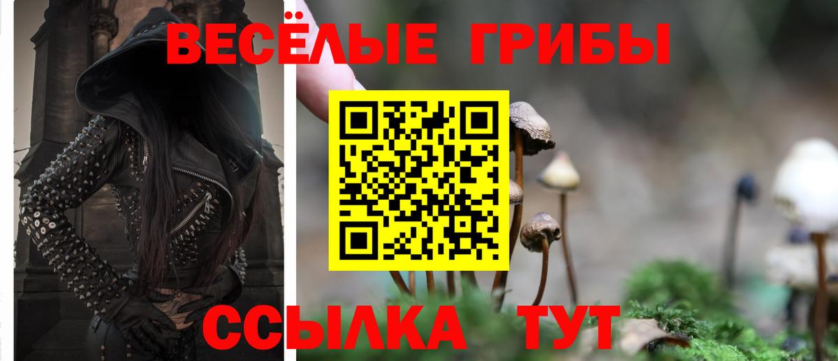 Галлюциногенные грибы MAGIC MUSHROOMS Татарск