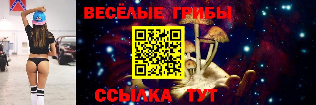 Татарск  цена наркотик  Вход с VPN  Галлюциногенные грибы прущие грибы 